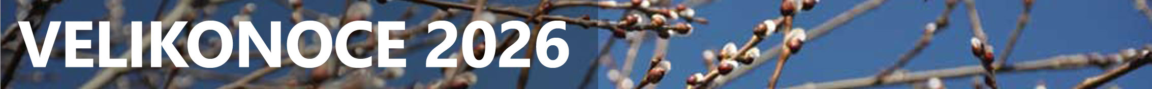 přehled bohoslužeb na vánoce