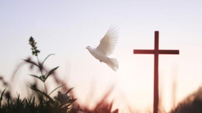 Ekumenické bohoslužby